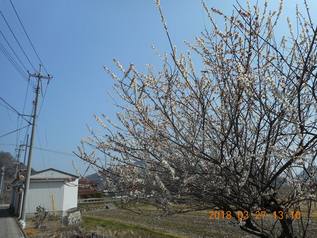 DSCN0095