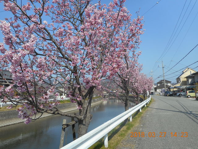 DSCN0110