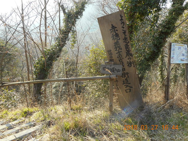 DSCN0131