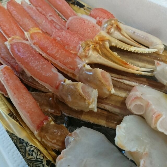 19-12-31-18-45-36-936_photo