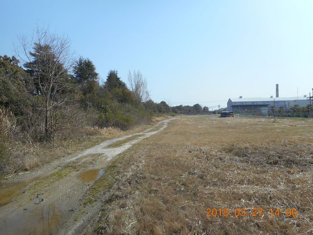 DSCN0105