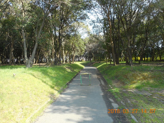 DSCN0107