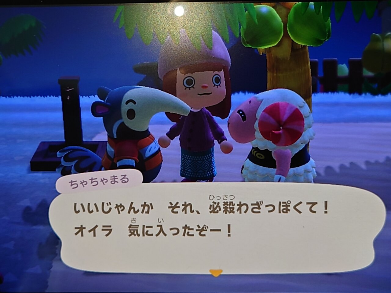 小麦7 なんでそんな天使なの 小麦のにっき