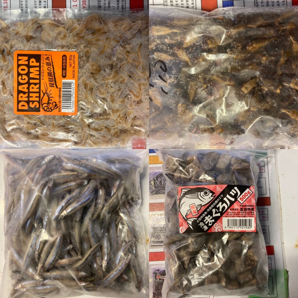 ビリーケンの活餌 冷凍エサのご紹介 アクアショップビリーケンのblog