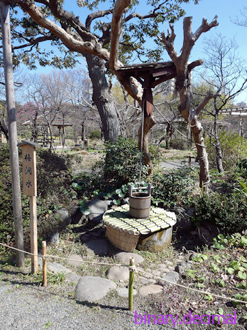 向島百花園_梅洞水