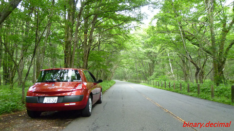 メガーヌさんベストショット