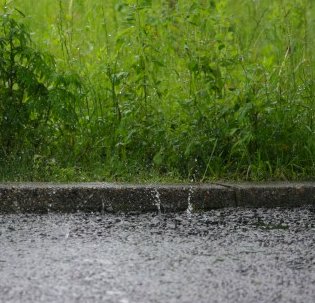 のほほん 雨