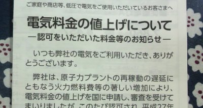 のほほん 電気ねあげ