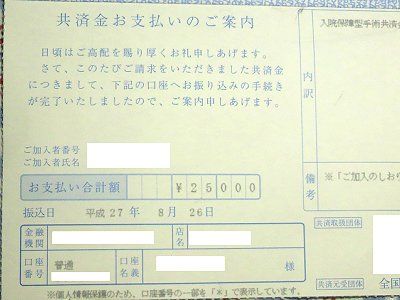 のほほん　手術給付金