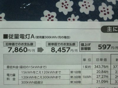 のほほん 電気ねあげ2