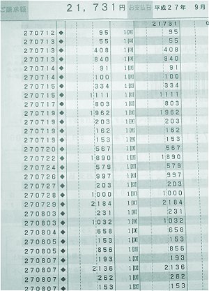 のほほん クレジットカード明細 食費編8月