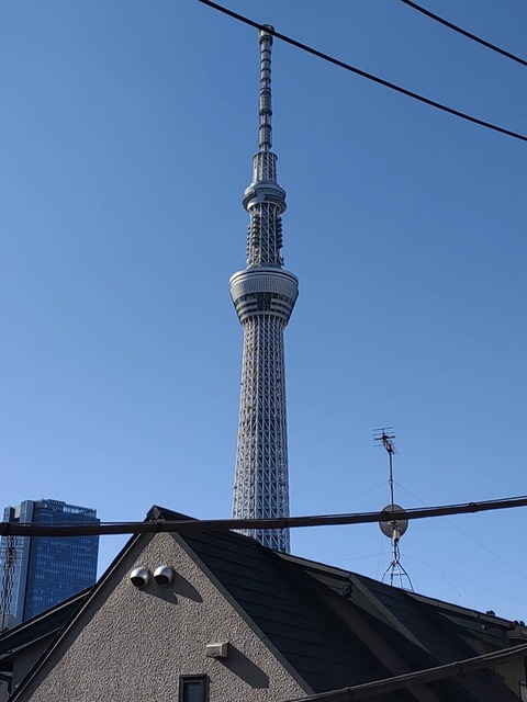 IMG_4168