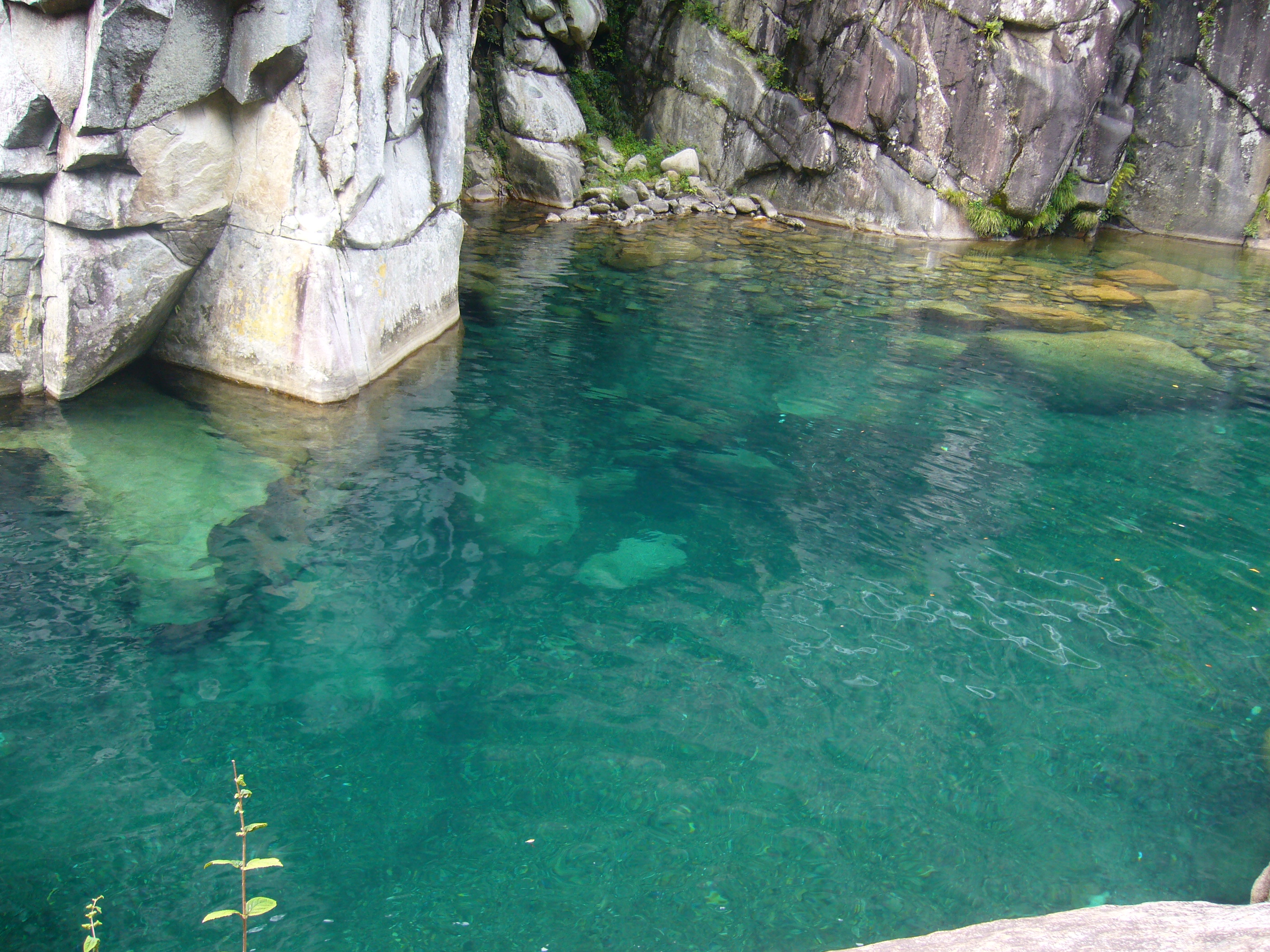 弁天町のプールズ