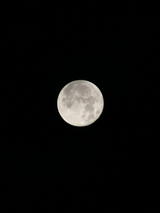6b126127.jpg