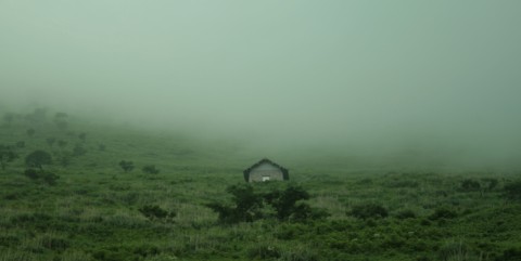 7908fc2f.jpg