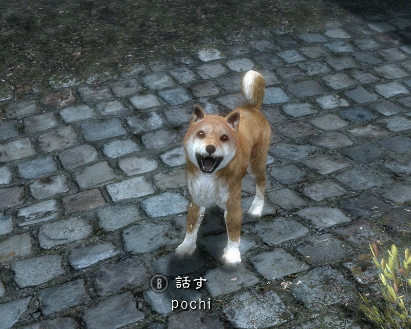 Skyrim Mod 紹介 162 Hs Dog Base 柴犬 Jump Animations Pjs Spell Compendium For Skyrim Rayeks End Mini Hideout Viking Weaponry Animetica Hatsune Miku Append 他 Game B 別館