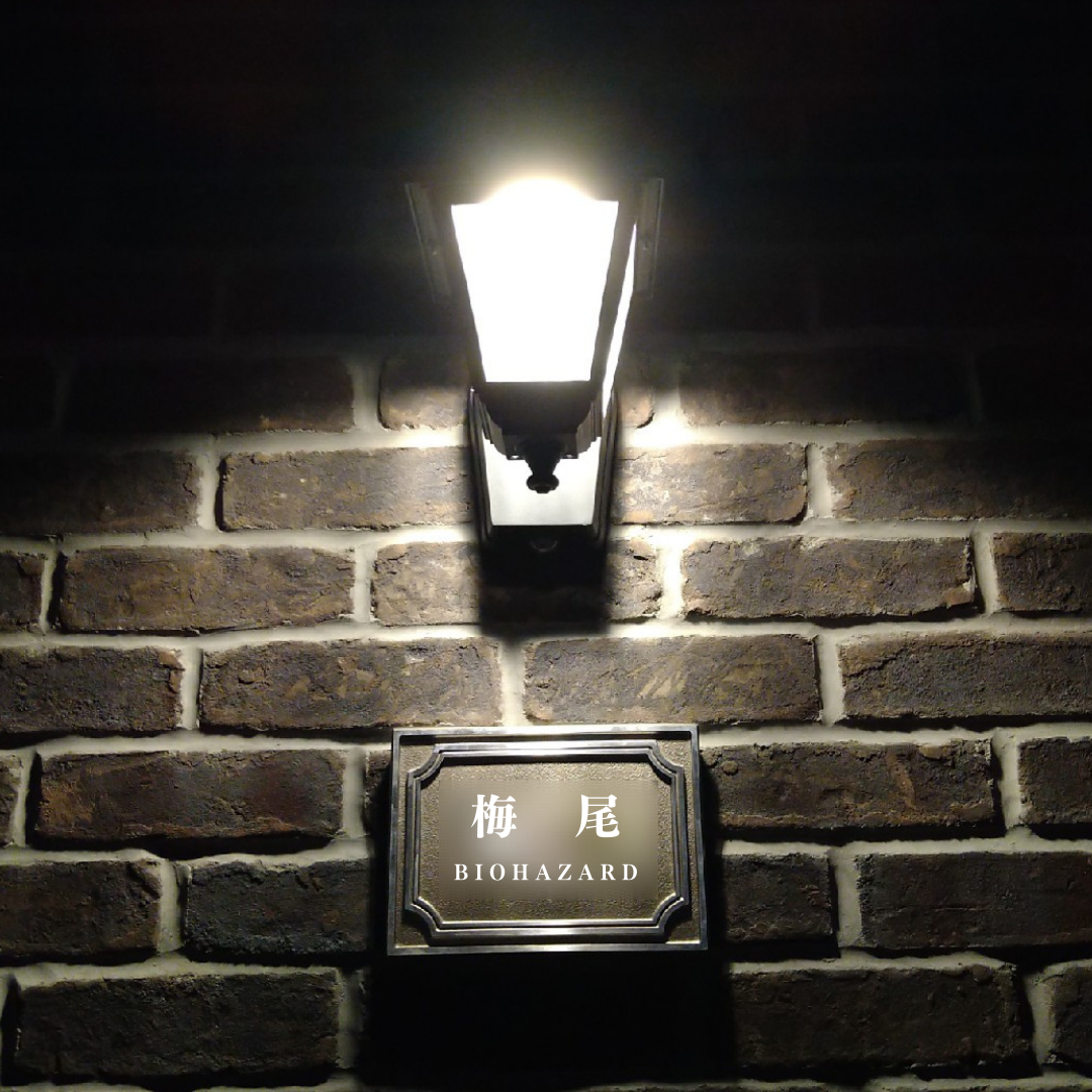 ディレイビューイング】娘の映画館ライブデビュー！【ポルノグラフィティ】 : バイオハザード好き夫婦がセルコホームで洋館を建てる【本館】