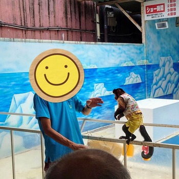 24-08-12-13-31-40-704_deco