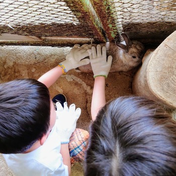 mitenea788f5fc-fa69-473b-9e74-df0d5b0bb323