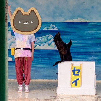 24-08-12-13-33-00-184_deco