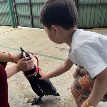 mitene764EF582-AA54-48ED-8B57-CCCF27DE3C1F