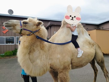 24-08-11-17-51-08-083_deco