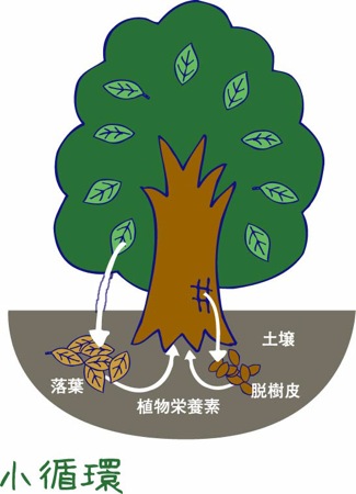 13p_小循環.jpg 13p 小循環