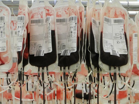 blood-bags-91170_1280