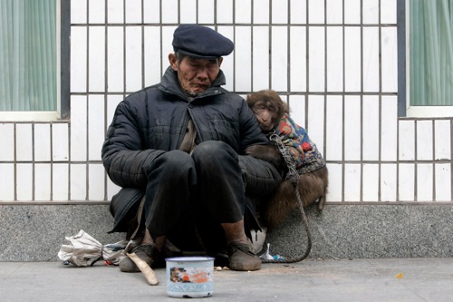 china_beggar_naps_with_his_monkey_on_street_in_chongqing_municipality_rtxc0ei.jpg China beggar naps with his monkey on street in chongqing municipality rtxc0ei