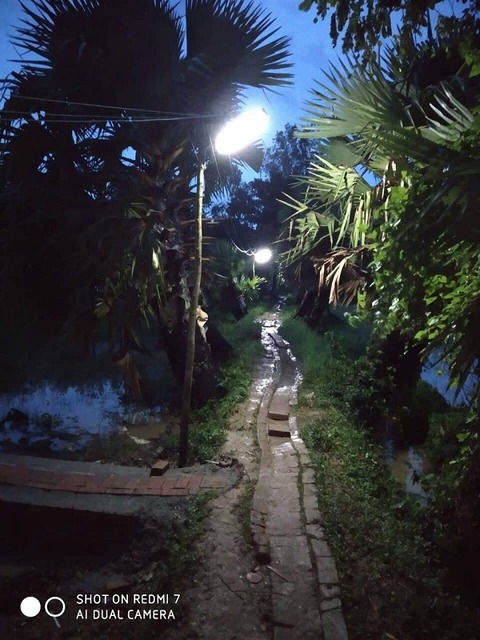 電気が灯った!