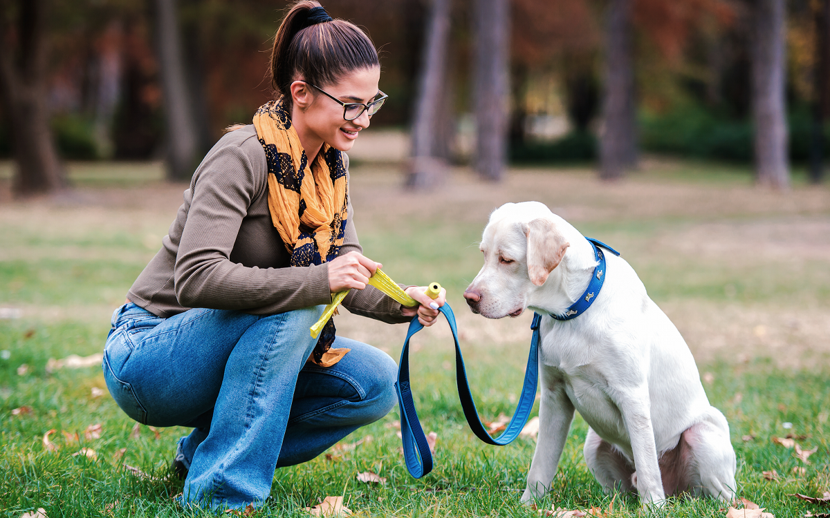 生分解性のビニール袋 は埋め立て地で分解されない 生ごみや犬のフン処理はコンポストがオススメ Big Issue Online