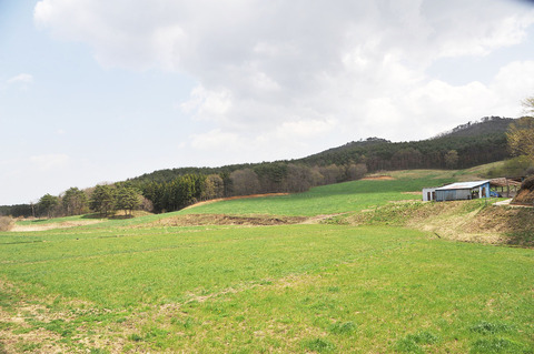 飯館村開拓した牧草地497撮影20110504