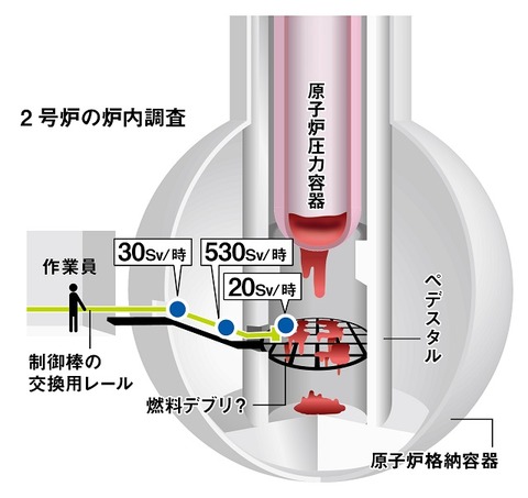 306genpatsu