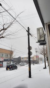 20250318_063653外の様子朝雪模様3