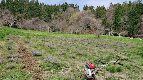 20250417_113426٥Ȫι̺1 hspace=