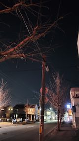 20250311_204302�����ͻ���ΤϤ��Ả2�� hspace=