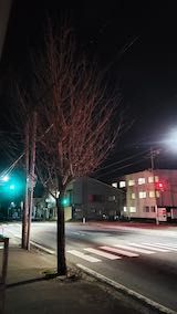 20250322_213916ͻΤϤẢ1 hspace=