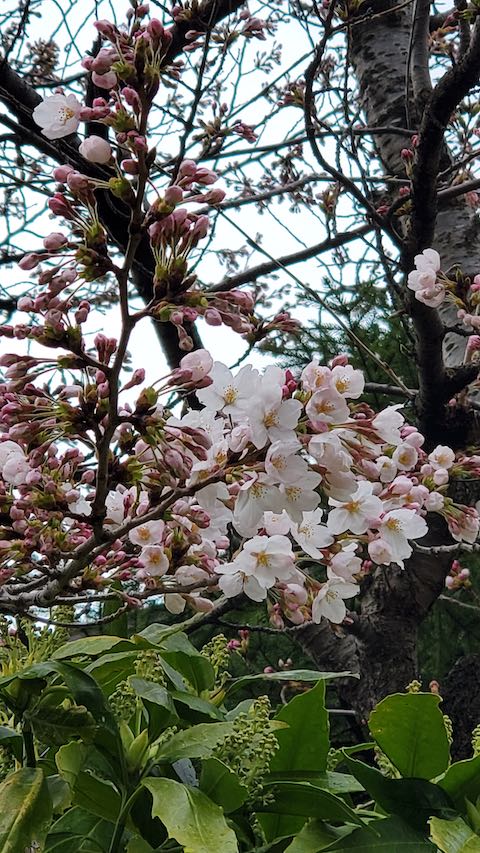 20250415_162905ͻҺ4 hspace=