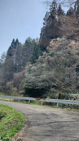 20250419_132541山へ向う途中の峠道の様子“ hspace=