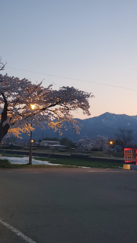 20250421_183725Ťʵܺ2 hspace=