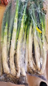 20250307_094619_�ڥͥ�