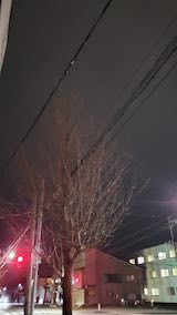 20250413_205839ͻΤϤẢ1 hspace=