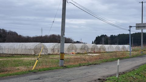 20250415_101805ظͻҥӥˡϥ hspace=