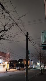 20250411_212016外の様子夜のはじめ頃4” hspace=