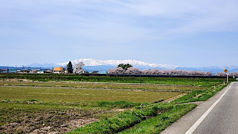 20250422_140026Ťʵܺ˭Ϣ4 hspace=