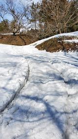 20250307_125019_�����å��ڥȥ�æ��3