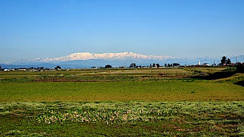 20250422_082532Ťʵܺ˭Ϣ3 hspace=