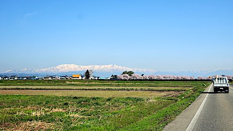 20250422_082124Ťʵܺ˭Ϣ2 hspace=