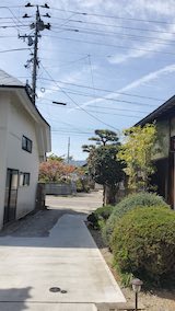 20250422_130803ͻ᤮1 hspace=