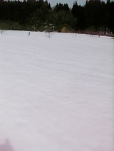 20060224山雪に埋もれたラベンダー畑